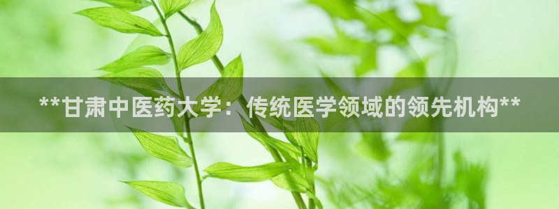 九游会ag老哥
