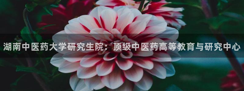 j9九游会下载