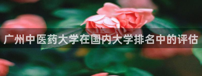 九游会官网ag
