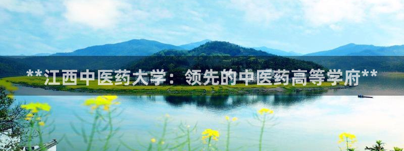 九游会网址多少