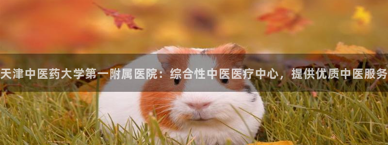 j9九游会首页入口试