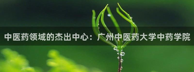 9游会j9