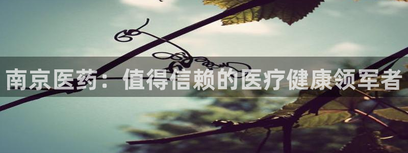 j9.cn