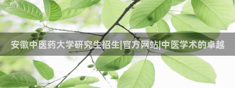 ag九游会论坛