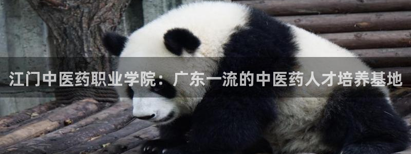 九游会官网平台