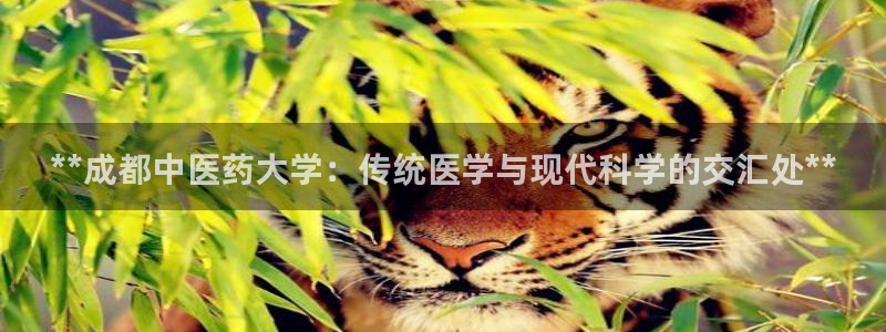 j9九游会老哥俱乐部 - 九游会