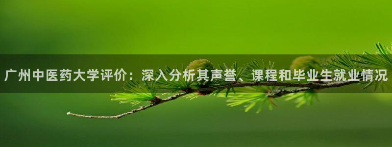j9九游会跑路了吗