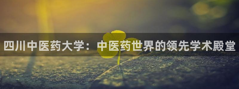 九游会是什么