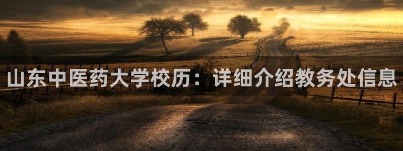 九游会 网址