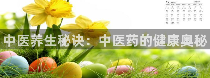 九游会是什么平台