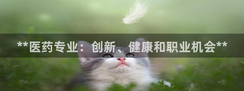 九游会ag官方网站