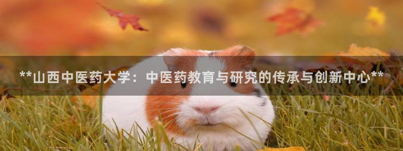 九游会首页登陆