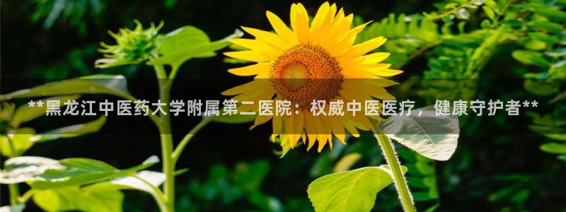 九游j9