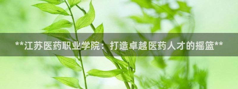 九游j9登陆