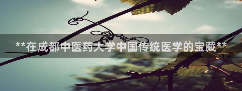 j9九游会app在哪里