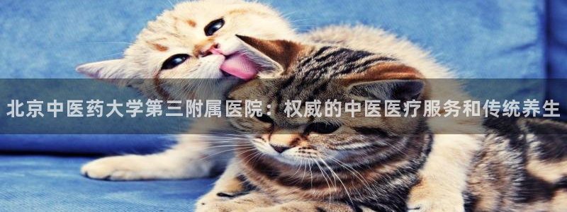 九游j9会