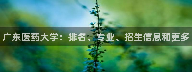 九游j9国际站