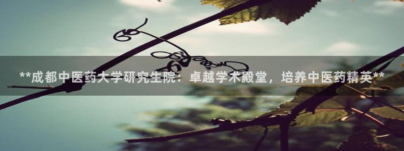 j9九游会首页入口试