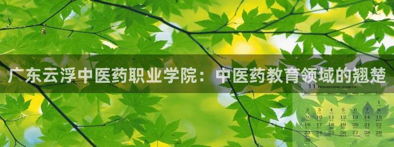 九游j9官网