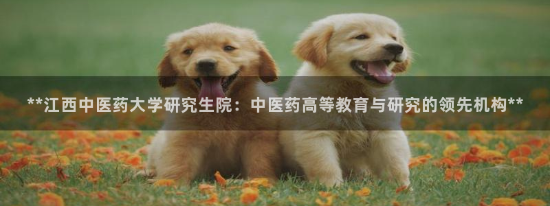 J9九游会老哥