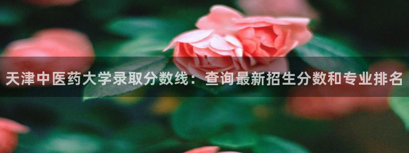 九游会网址多少