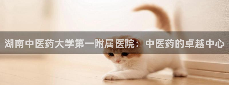 ag九游会vip8