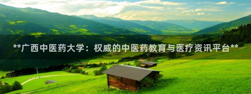 九游会平台最强