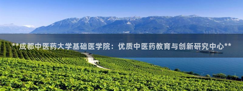 九游会平台稳定吗