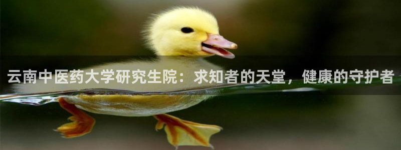 九游会游戏官方登录