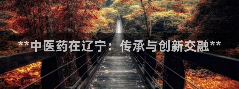 九游j9
