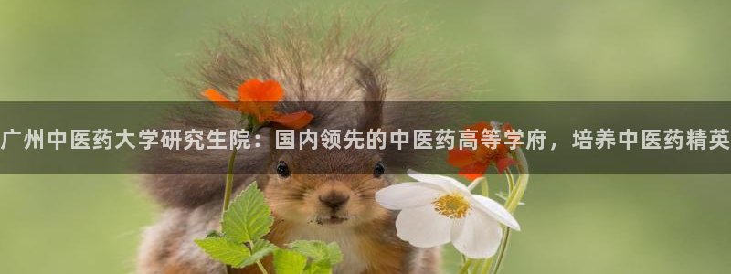 九游会官方首页登录