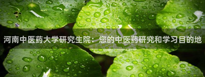 j9.cn