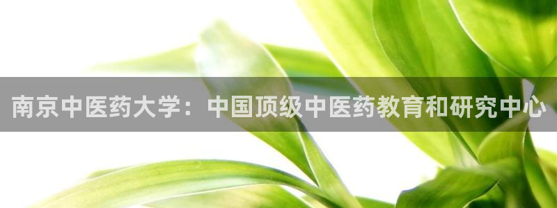 九游j9国际站官方网站