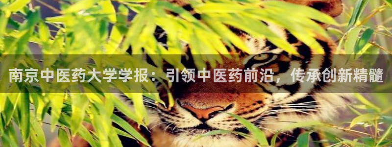 J9九游会国际