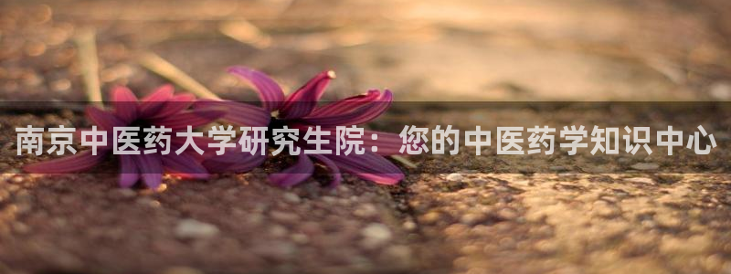 九游会怎么提款