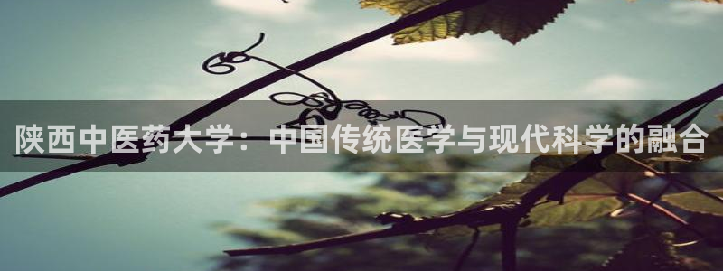 九游会j9国际站 - j9游会官方网页版