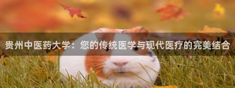 九游会亚洲官网