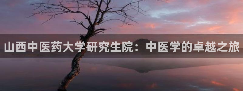 ag九游官网登录