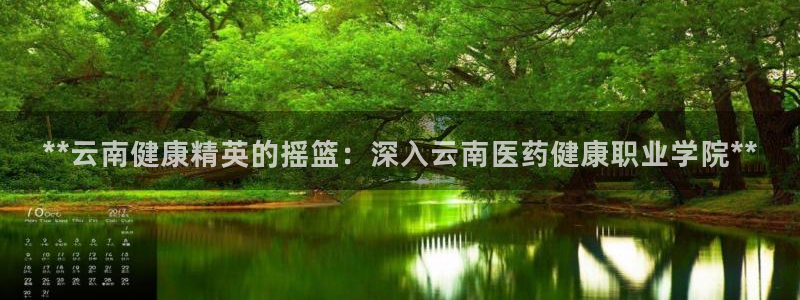 九游会老哥俱乐部社区论坛