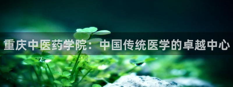 九游会老哥必备的俱乐部交流区论坛