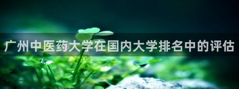 九游会官网网址
