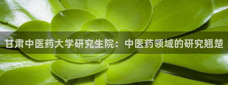 九游会官方旗舰店