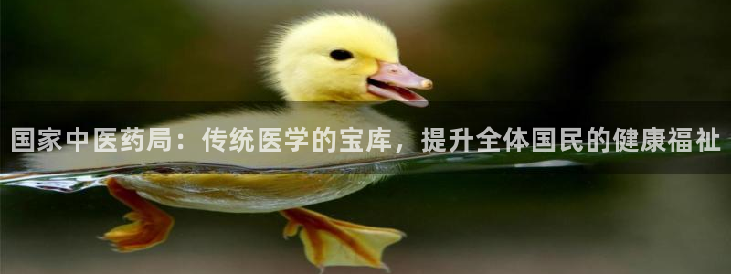 九游会的网址是多少