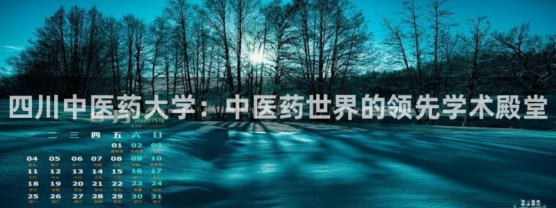九游会登不上