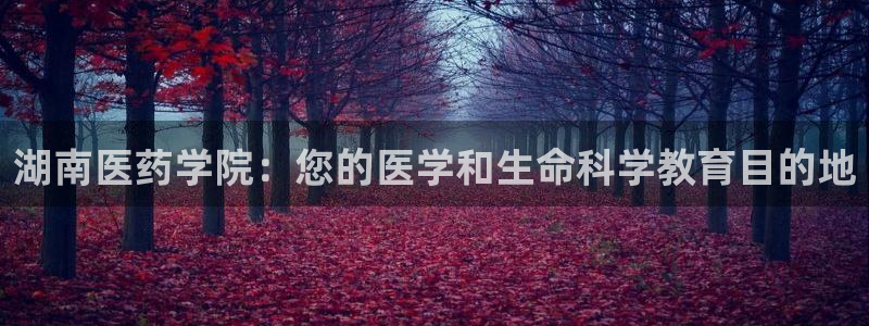 j9九游会合法吗