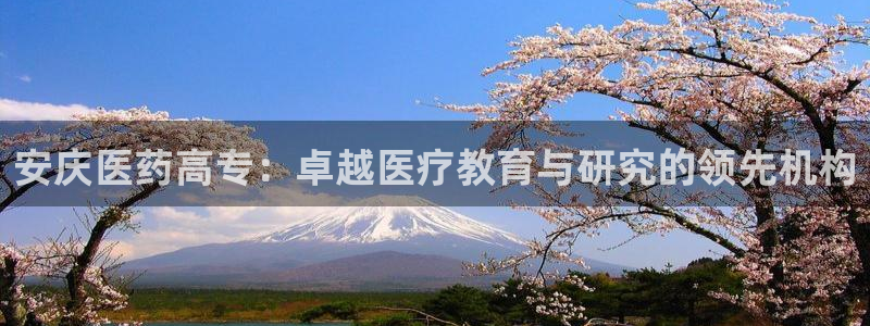 九游会官网真人认证吗
