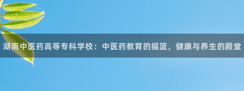 J9九游会老哥