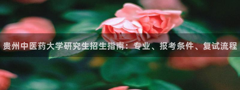 j9九游会app在哪里