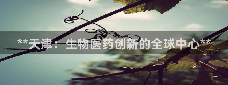 ag九游俱乐部