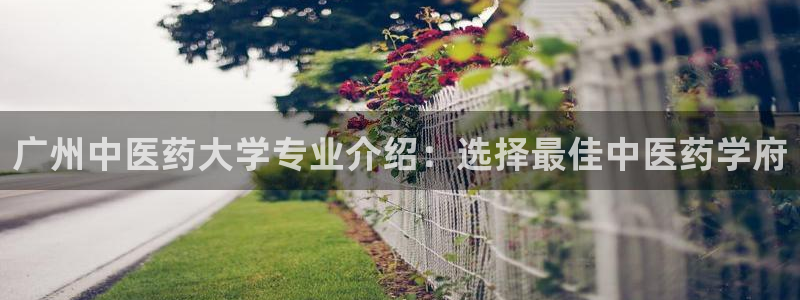 9游会旗舰